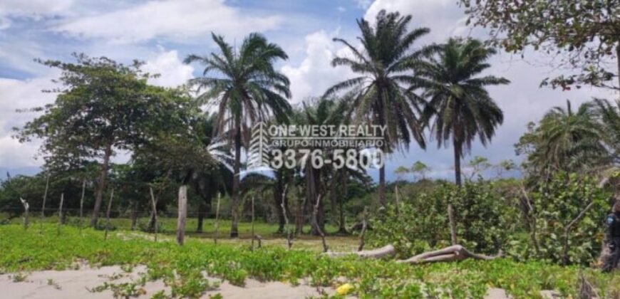 Terreno en venta frente a la playa La Ceiba Coco Pando