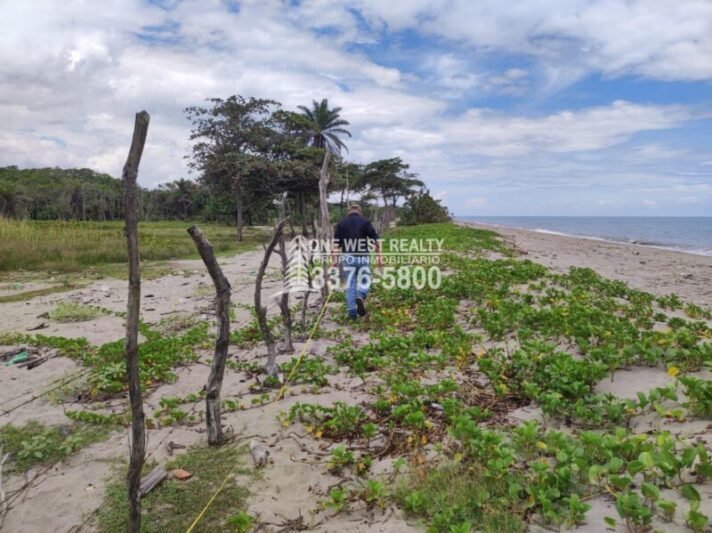 Terreno en venta frente a la playa La Ceiba Coco Pando