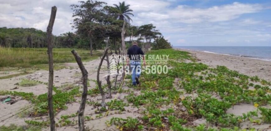 Terreno en venta frente a la playa La Ceiba Coco Pando