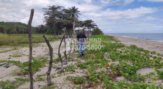 Terreno en venta frente a la playa La Ceiba Coco Pando