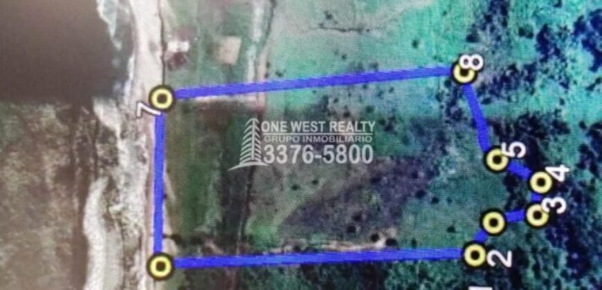 Terreno en venta frente a la playa La Ceiba Coco Pando