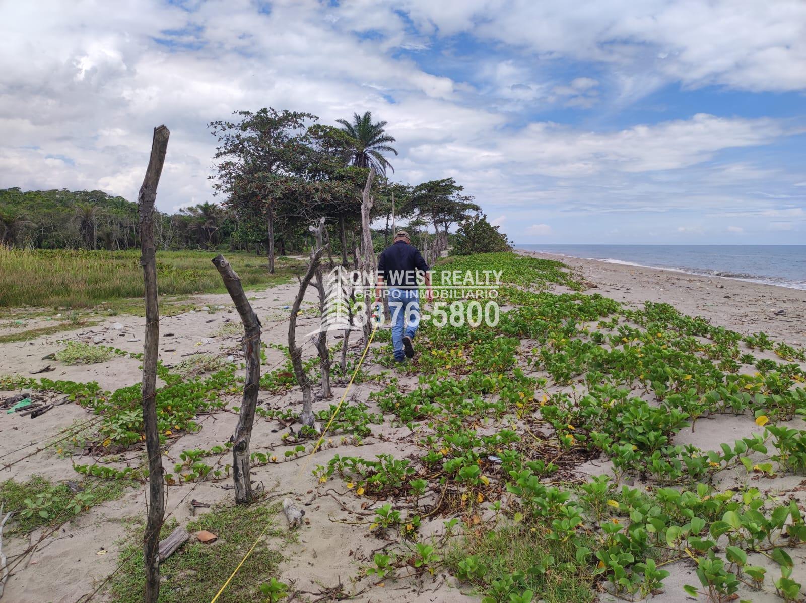 Terreno en venta frente a la playa La Ceiba Coco Pando