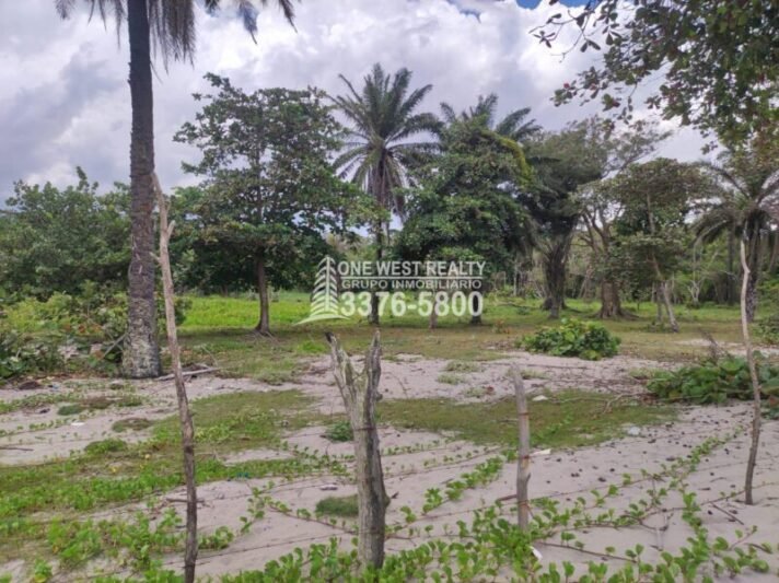 Terreno en venta frente a la playa La Ceiba Coco Pando