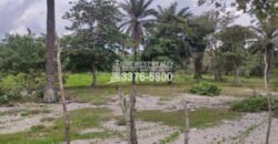 Terreno en venta frente a la playa La Ceiba Coco Pando