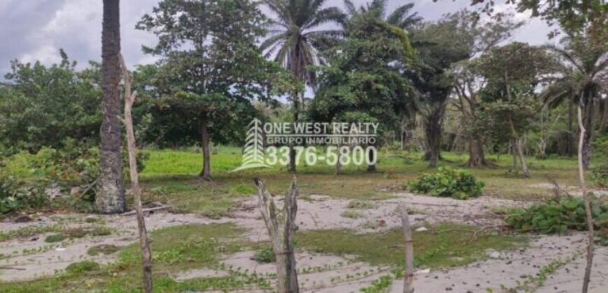 Terreno en venta frente a la playa La Ceiba Coco Pando