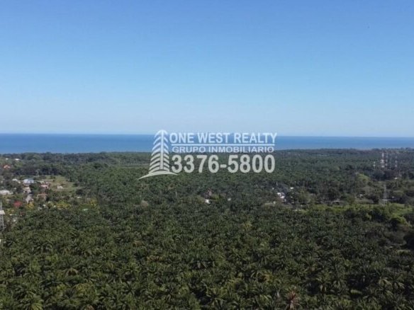 honduras real estate en la ceiba