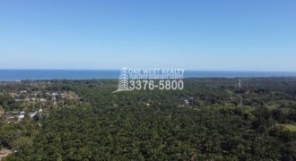 La Ceiba Honduras 34 Acres of Land for Sale with an Amazing Ocean View