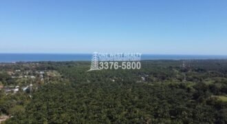 La Ceiba Honduras 34 Acres of Land for Sale with an Amazing Ocean View