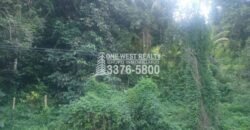 Venta de Terreno Con Vista a Rio Cangrejal y Pico Bonito La Ceiba