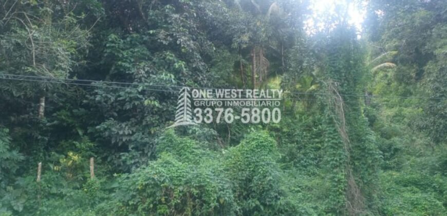 Venta de Terreno Con Vista a Rio Cangrejal y Pico Bonito La Ceiba