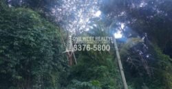 Venta de Terreno Con Vista a Rio Cangrejal y Pico Bonito La Ceiba