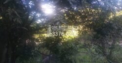 Venta de Terreno Con Vista a Rio Cangrejal y Pico Bonito La Ceiba