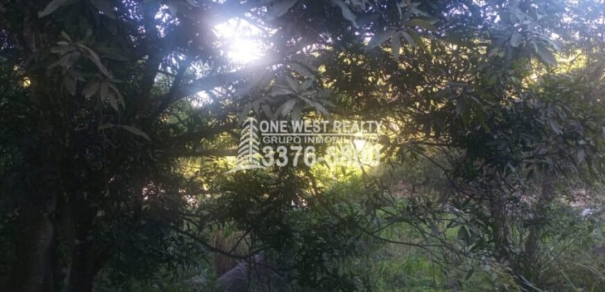 Venta de Terreno Con Vista a Rio Cangrejal y Pico Bonito La Ceiba