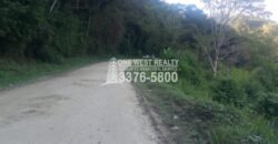 Venta de Terreno Con Vista a Rio Cangrejal y Pico Bonito La Ceiba
