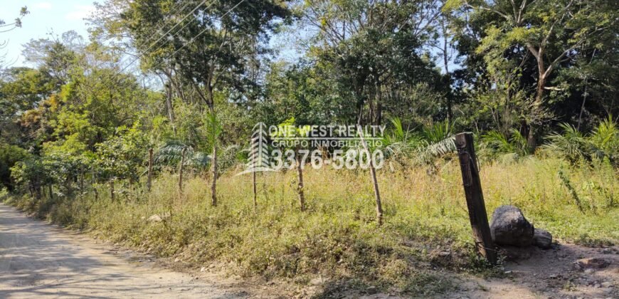 Terreno en Venta en El Progreso Yoro 8.8 manzanas | Oportunidad De Inversión