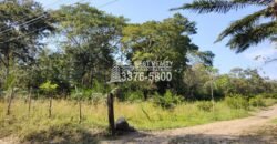 Terreno en Venta en El Progreso Yoro 8.8 manzanas | Oportunidad De Inversión