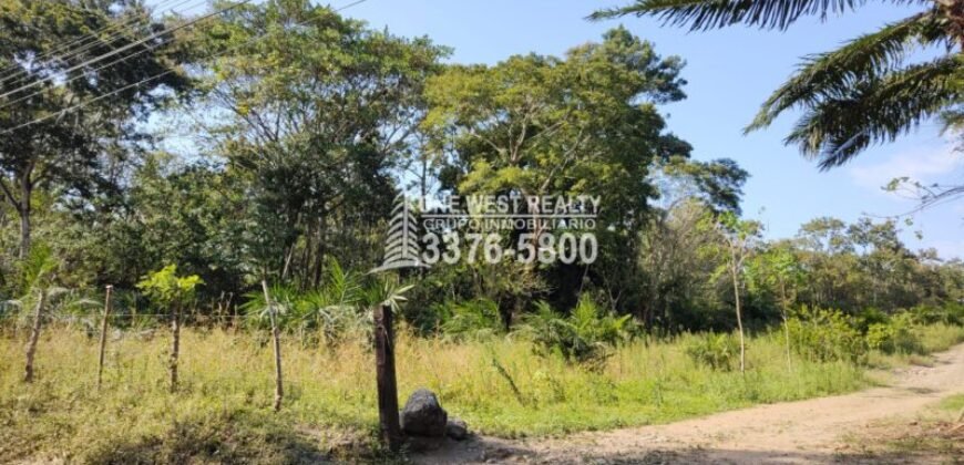Terreno en Venta en El Progreso Yoro 8.8 manzanas | Oportunidad De Inversión