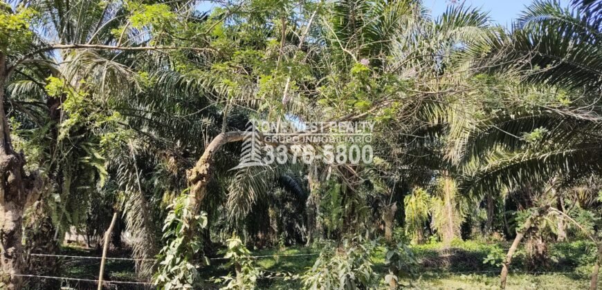 Terreno en Venta en El Progreso Yoro 8.8 manzanas | Oportunidad De Inversión