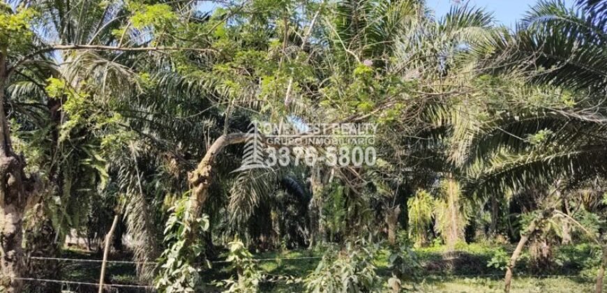 Terreno en Venta en El Progreso Yoro 8.8 manzanas | Oportunidad De Inversión