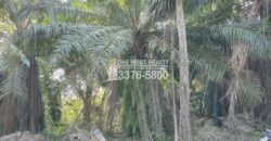 Terreno en Venta en El Progreso Yoro 8.8 manzanas | Oportunidad De Inversión