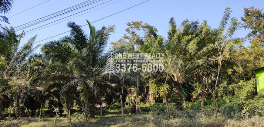 Terreno en Venta en El Progreso Yoro 8.8 manzanas | Oportunidad De Inversión