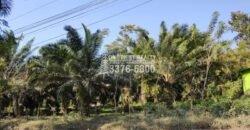 Terreno en Venta en El Progreso Yoro 8.8 manzanas | Oportunidad De Inversión