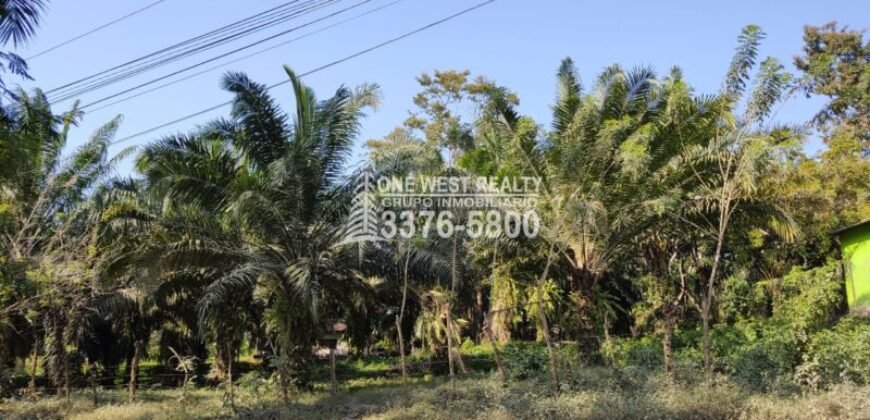 Terreno en Venta en El Progreso Yoro 8.8 manzanas | Oportunidad De Inversión