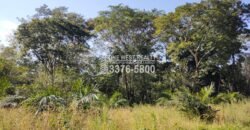 Terreno en Venta en El Progreso Yoro 8.8 manzanas | Oportunidad De Inversión