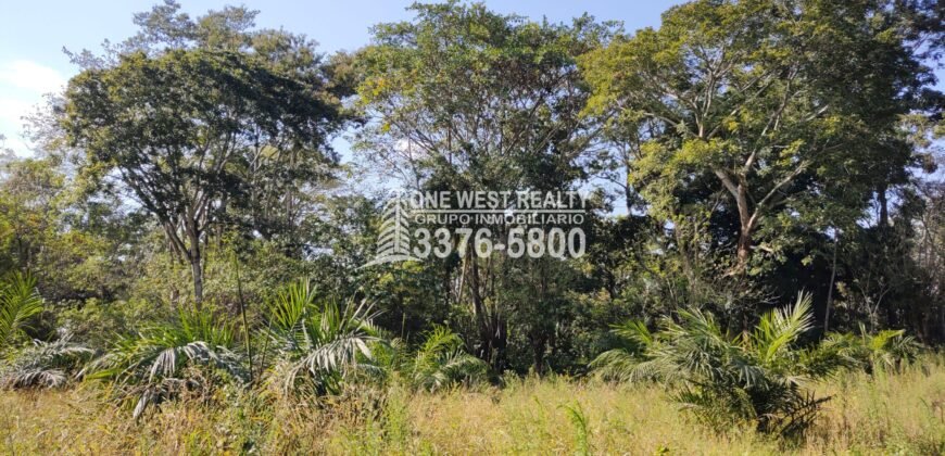 Terreno en Venta en El Progreso Yoro 8.8 manzanas | Oportunidad De Inversión