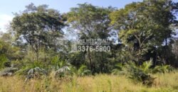 Terreno en Venta en El Progreso Yoro 8.8 manzanas | Oportunidad De Inversión