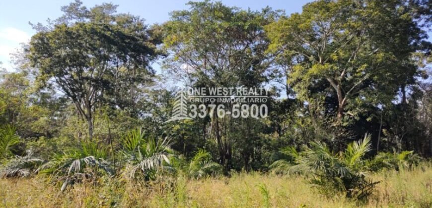 Terreno en Venta en El Progreso Yoro 8.8 manzanas | Oportunidad De Inversión