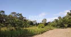 Terreno en Venta en El Progreso Yoro 8.8 manzanas | Oportunidad De Inversión