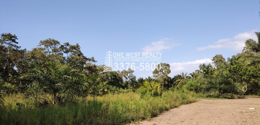 Terreno en Venta en El Progreso Yoro 8.8 manzanas | Oportunidad De Inversión