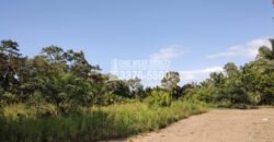 Terreno en Venta en El Progreso Yoro 8.8 manzanas | Oportunidad De Inversión