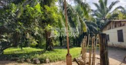 Terreno en Venta en El Progreso Yoro 8.8 manzanas | Oportunidad De Inversión