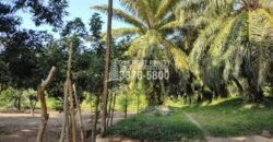 Terreno en Venta en El Progreso Yoro 8.8 manzanas | Oportunidad De Inversión