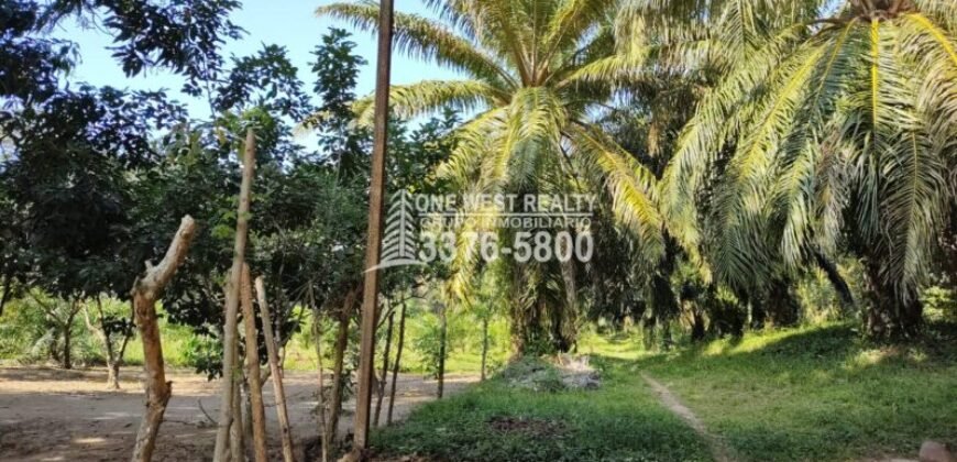 Terreno en Venta en El Progreso Yoro 8.8 manzanas | Oportunidad De Inversión