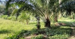 Terreno en Venta en El Progreso Yoro 8.8 manzanas | Oportunidad De Inversión