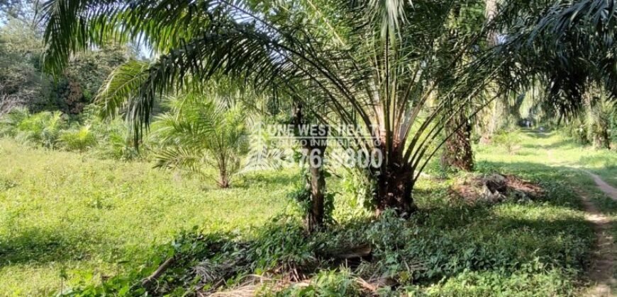 Terreno en Venta en El Progreso Yoro 8.8 manzanas | Oportunidad De Inversión