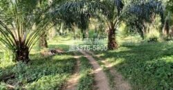 Terreno en Venta en El Progreso Yoro 8.8 manzanas | Oportunidad De Inversión