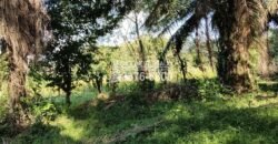 Terreno en Venta en El Progreso Yoro 8.8 manzanas | Oportunidad De Inversión