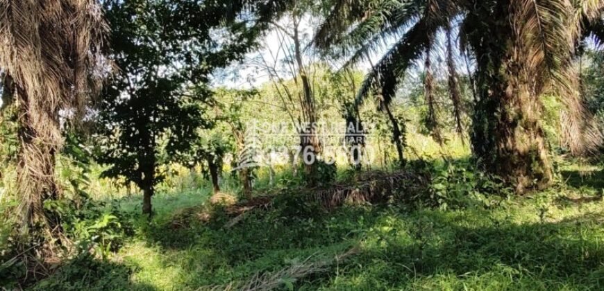 Terreno en Venta en El Progreso Yoro 8.8 manzanas | Oportunidad De Inversión
