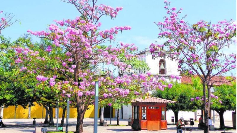 Comayagua, Una Mágica Ciudad Colonial 1westrealty