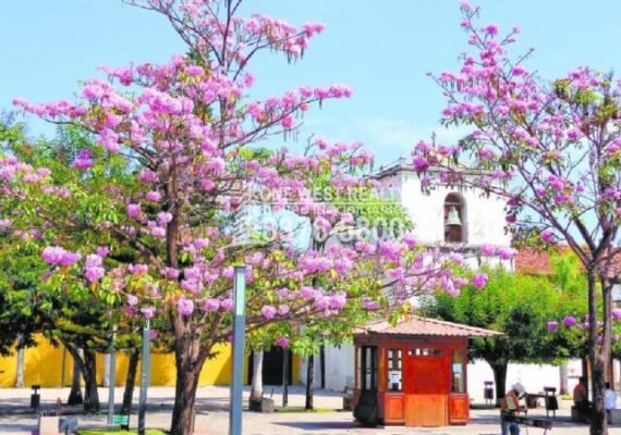 Comayagua, Una Mágica Ciudad Colonial
