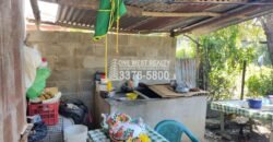 Apartamentos en venta y solar para inversión en El Progreso Yoro