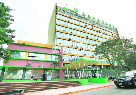 Banadesa otorgará más de L 2,000 millones en créditos a pequeños y medianos productores