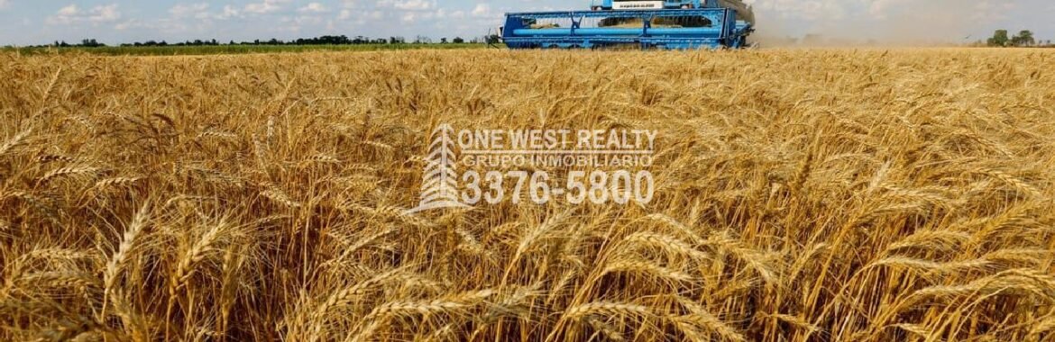 ONU Ofrece a Rusia Mantener Acuerdos Por Cereales de Ucrania