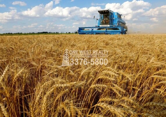 ONU Ofrece a Rusia Mantener Acuerdos Por Cereales de Ucrania