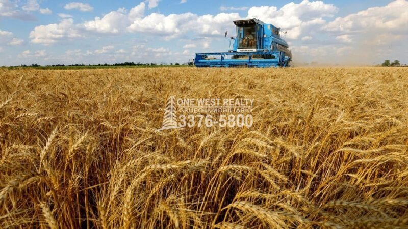 ONU Ofrece a Rusia Mantener Acuerdos Por Cereales de Ucrania 1westrealty