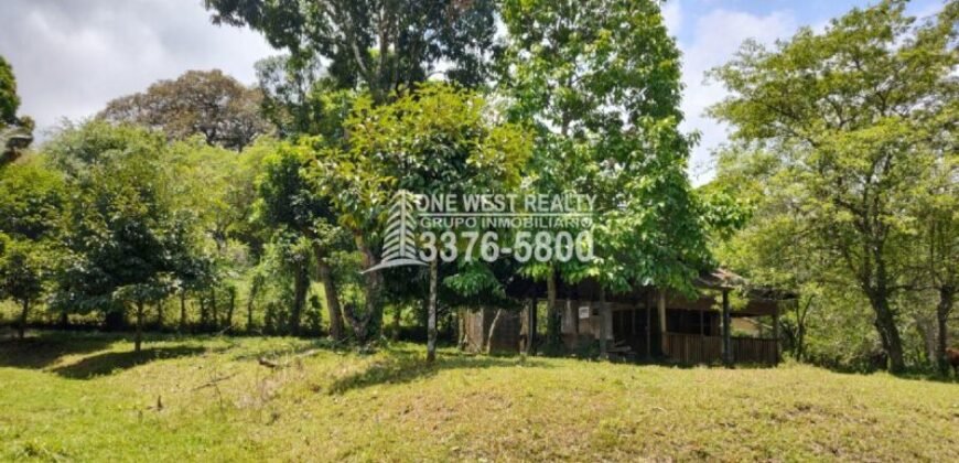 Venta de Terreno con Casa y Naciente de Agua en Omoa Cortes Honduras